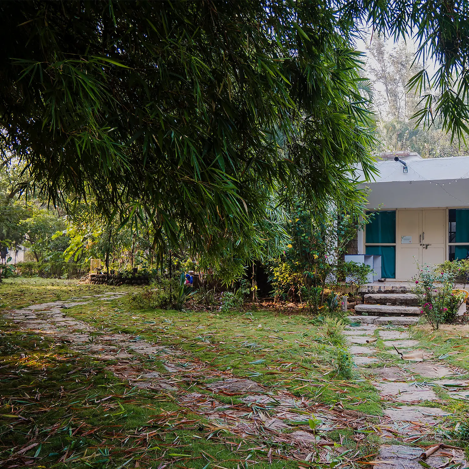homestay