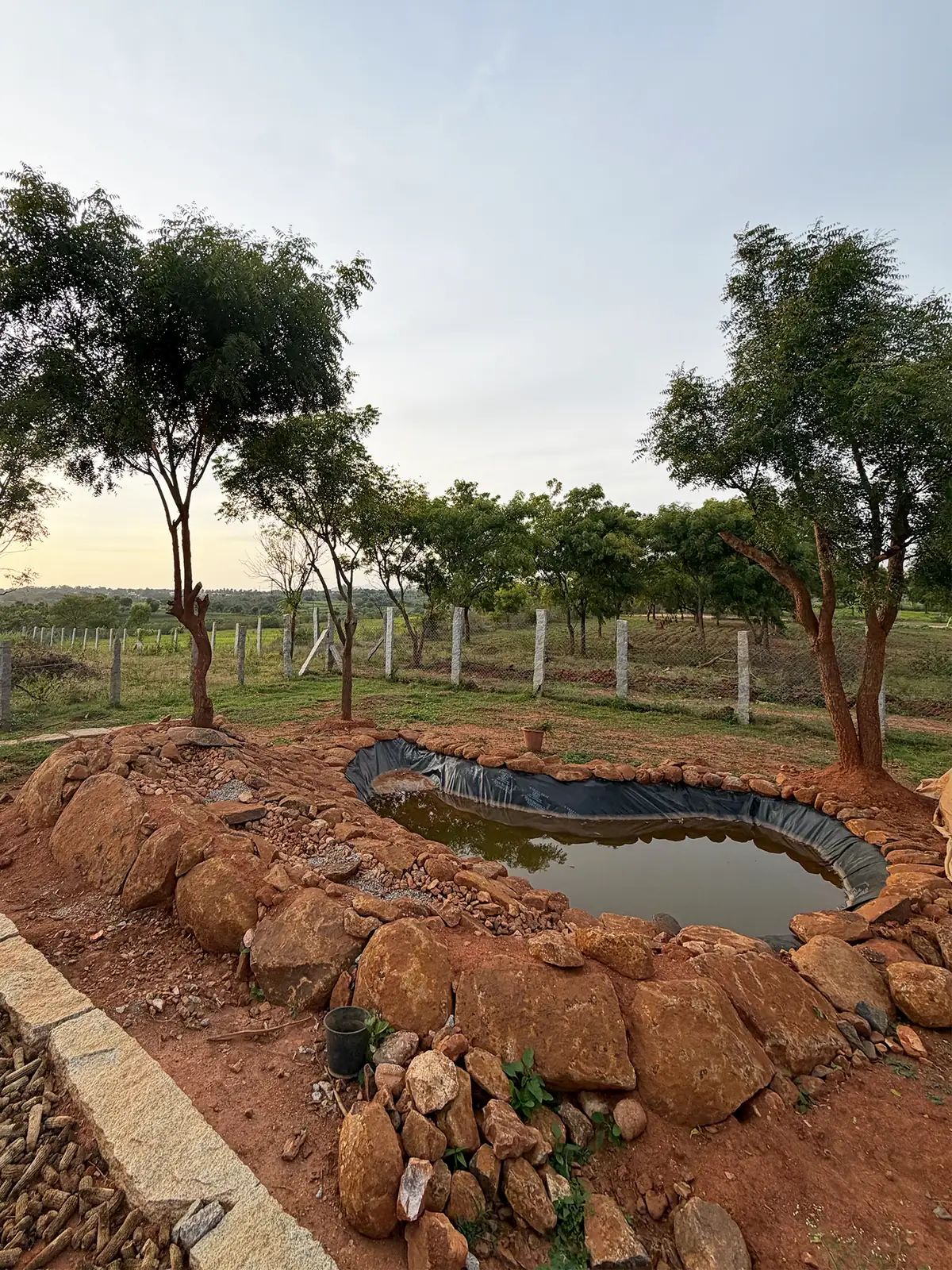 A stone-lined pond among young trees at ‘No Pin Code Valley’