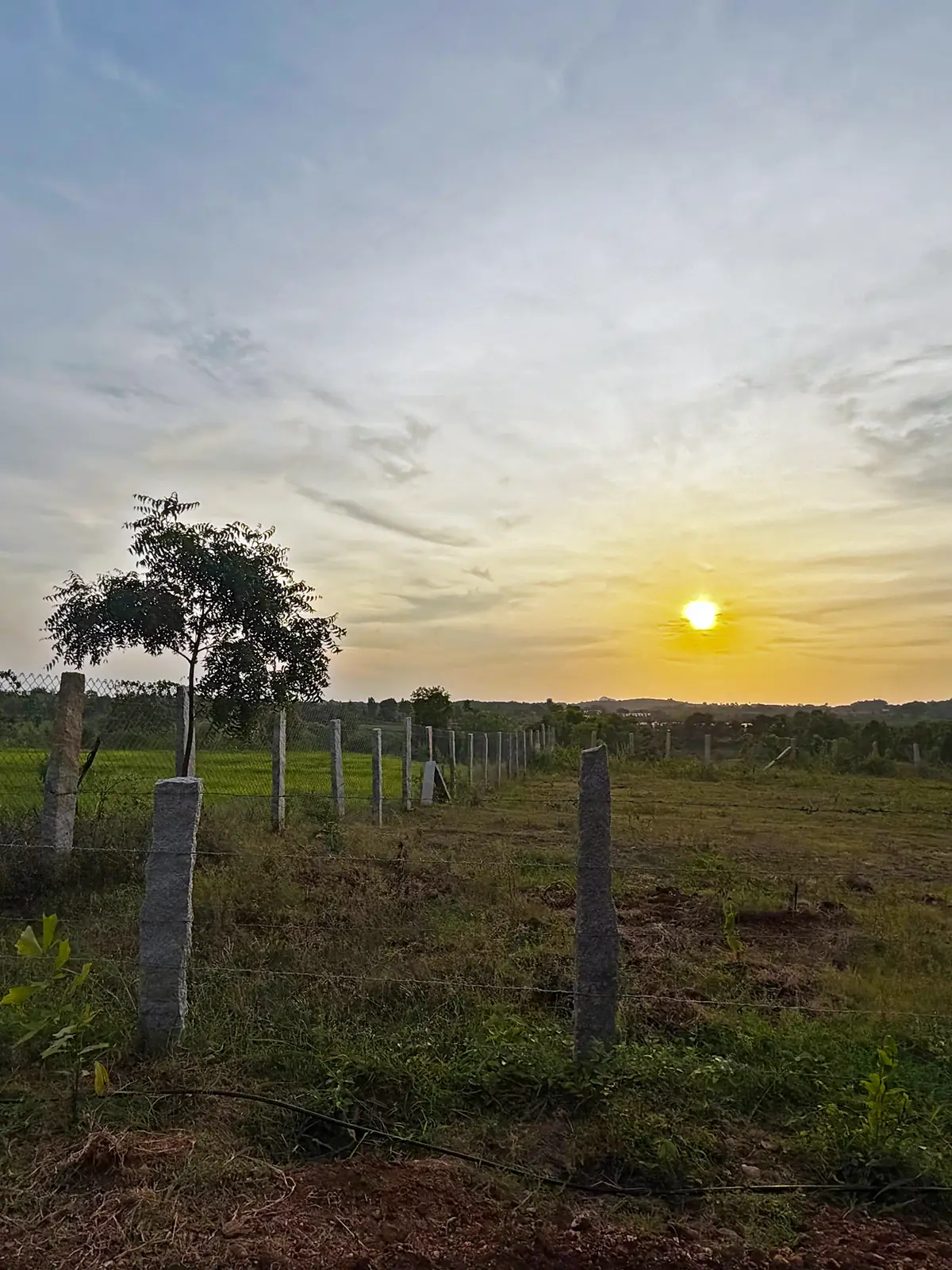 The sun setting over the fields at ‘No Pin Code Valley’